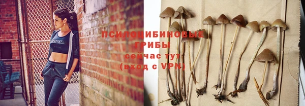 бошки Иннополис